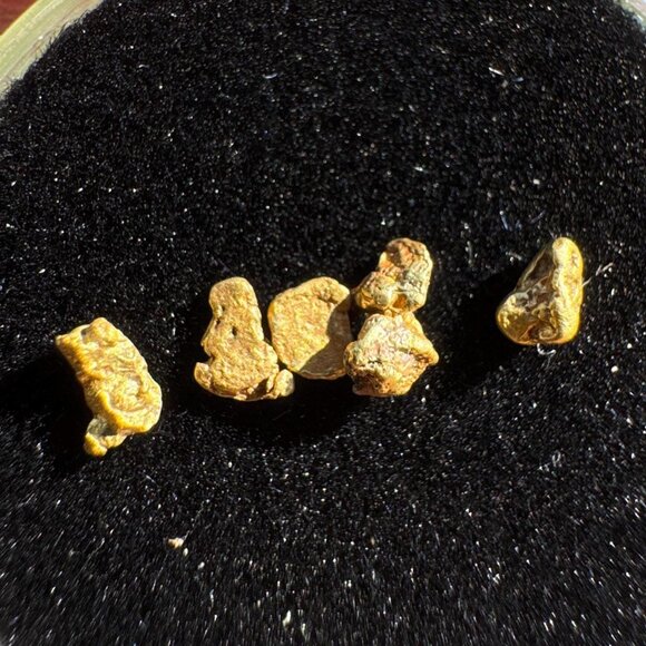 California Gold Nuggets in Display Case - 0.33 grams - Picture 2 of 8